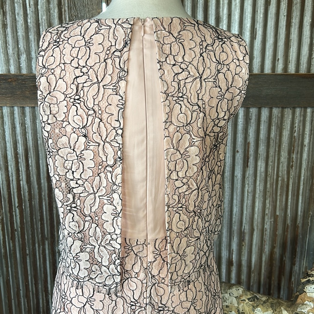 Antonio Melani Elegant Pink Lace Dress NWT! - Picture 8 of 11